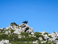 016 sie sind wohl verliebt